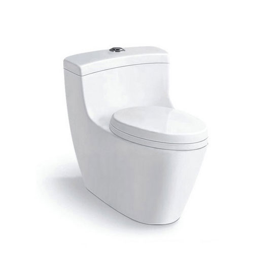 One-piece Dual Flush Toilet
